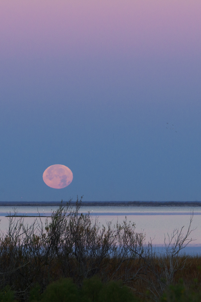 Moon setting - Texas